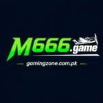 M666 Game account registration form interface